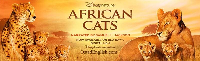 مستند آموزش زبان انگلیسی گربه های آفریقایی African Cats