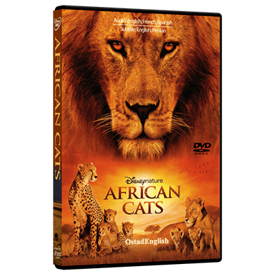 African Cats1