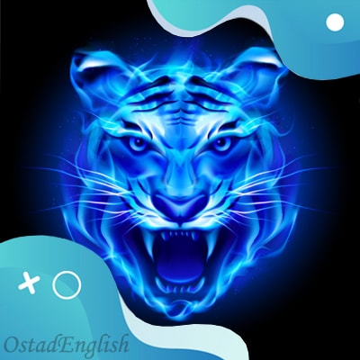 The Mocking Tiger(OstadEnglish)